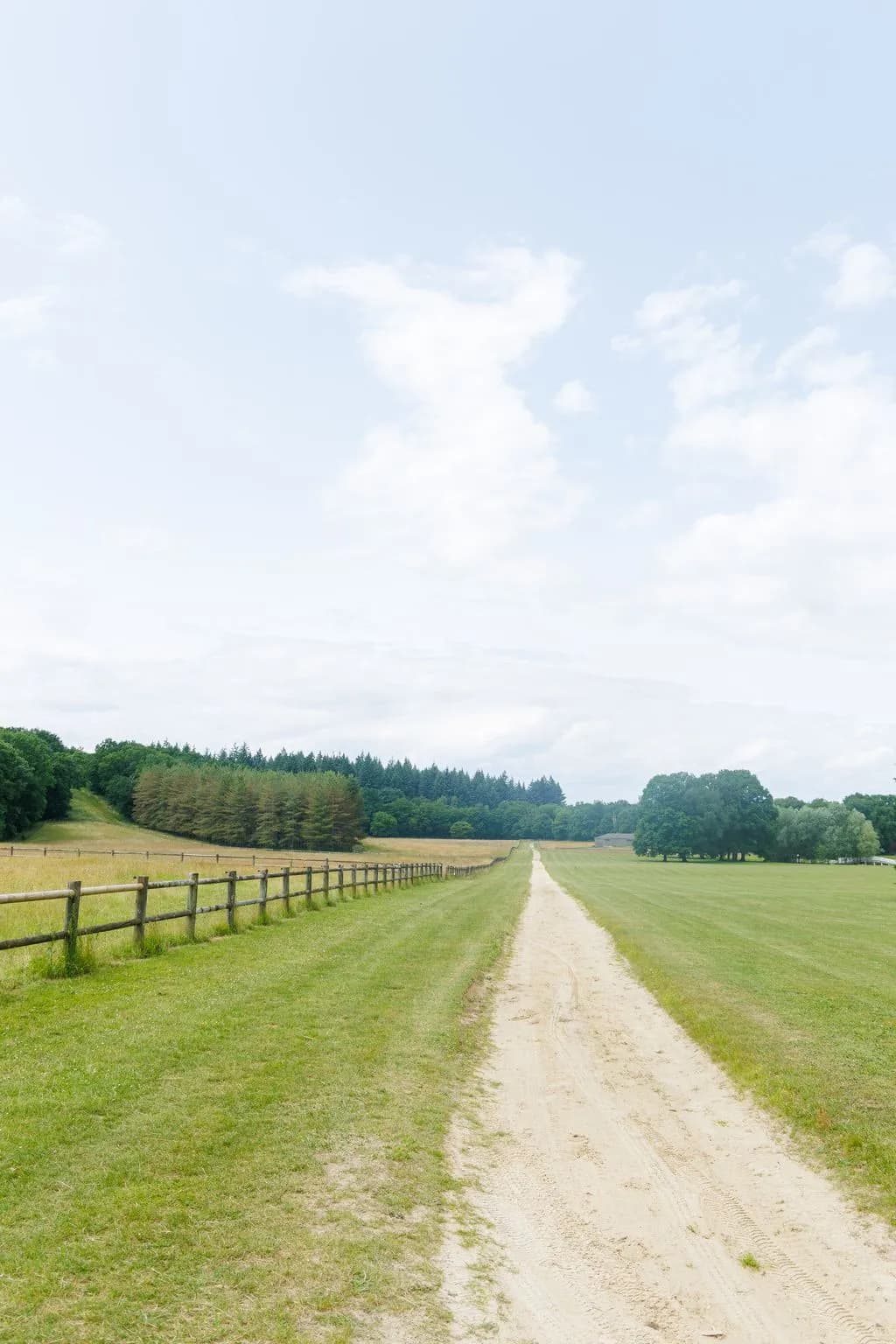 Piste de galop Haras Butte Ronde — sol POLY SOL Yvelines