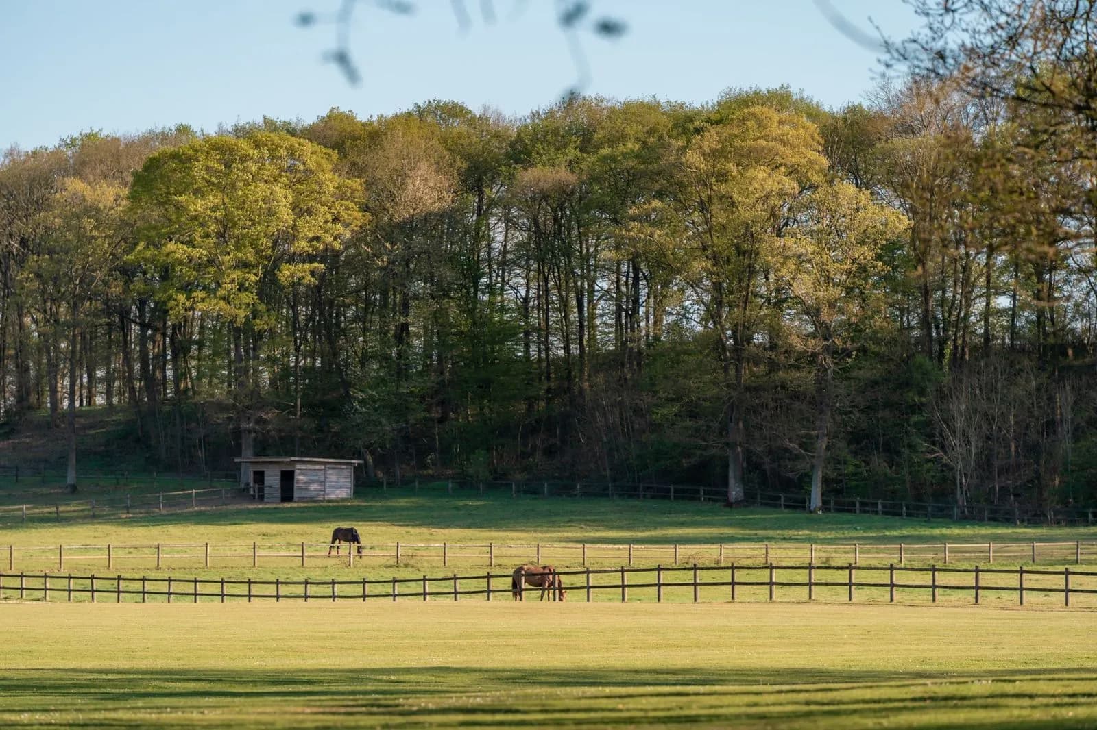 Accès forêt de Rambouillet — Haras Domaine de la Butte Ronde