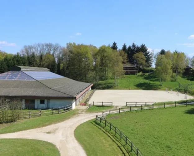 Animations pour anniversaire — Domaine de la Butte Ronde Yvelines