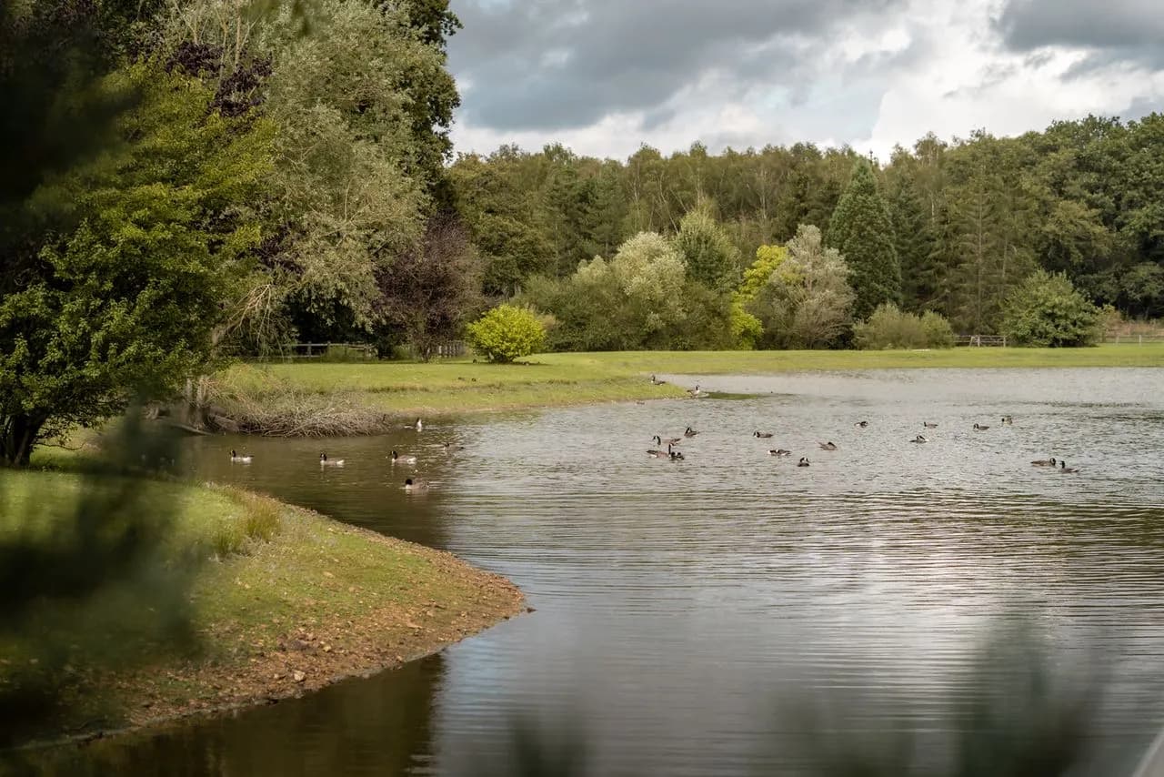 Cérémonie laïque sur l'Île des Cérémonies — Domaine de la Butte Ronde