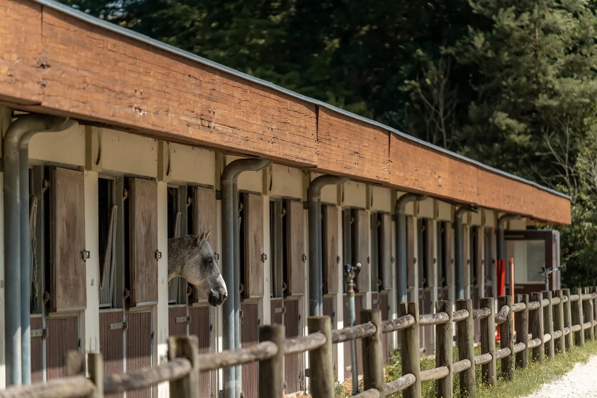 Haras Ecurie