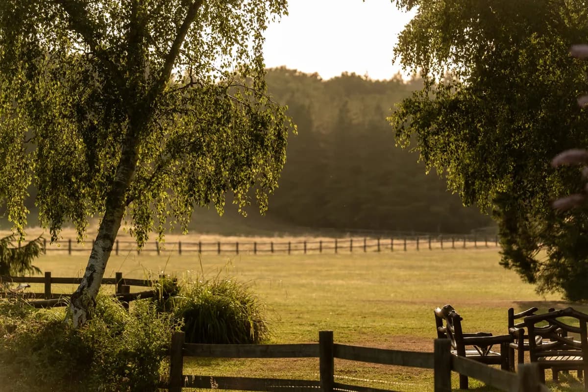 Parc du Domaine