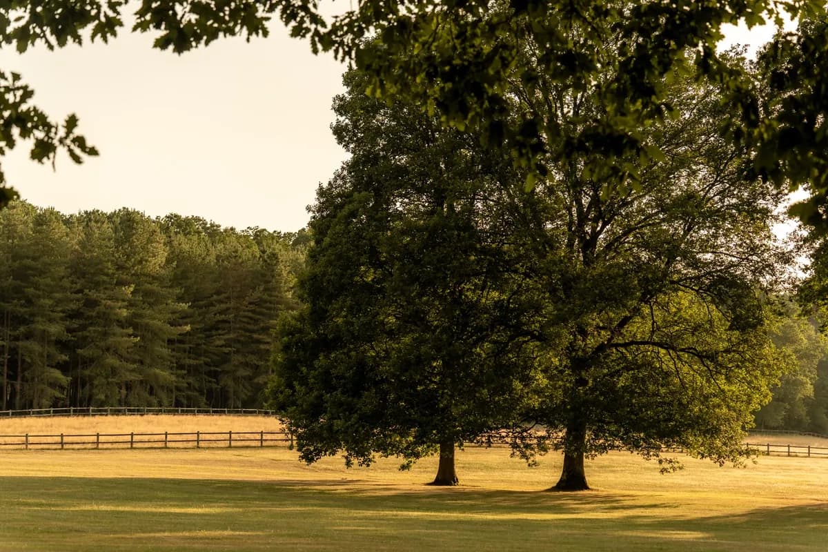 Parc du Domaine 