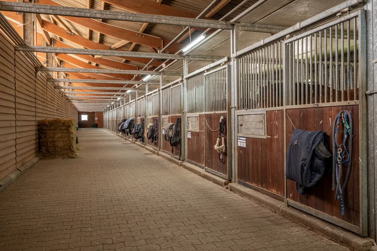 Intérieur du Haras