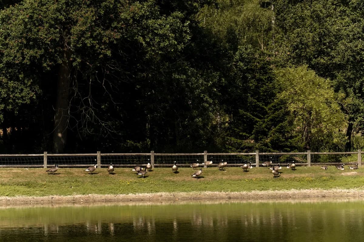Parc du Domaine