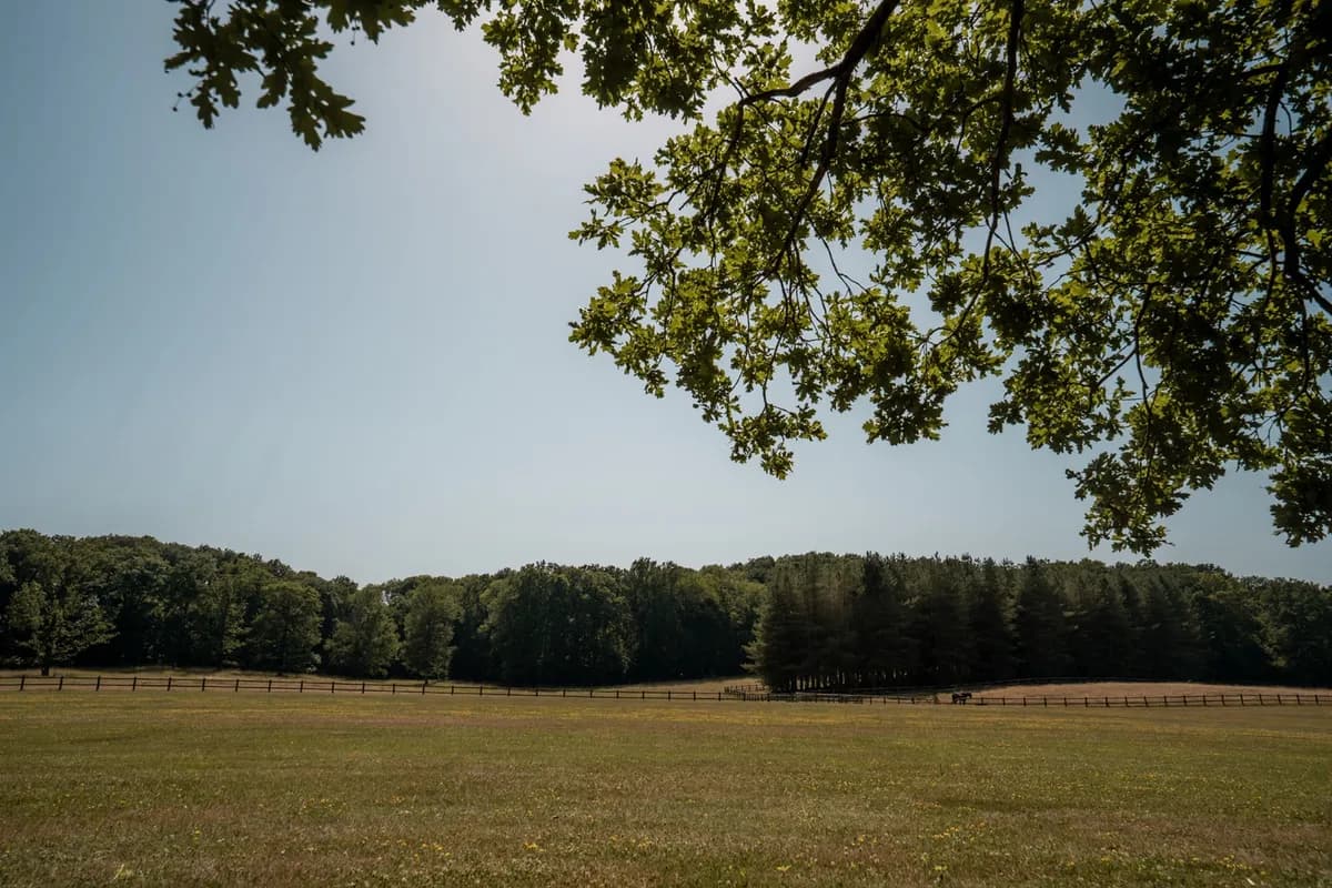 Parc du Domaine