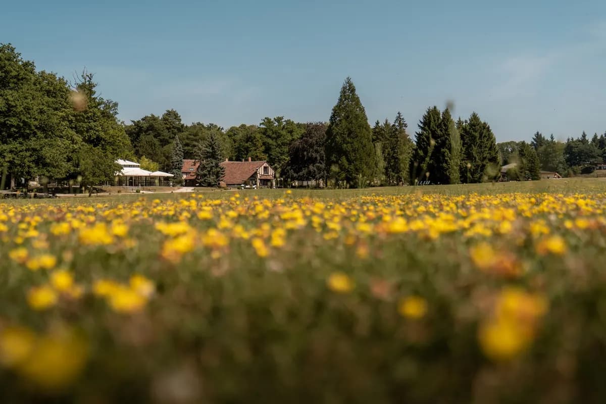 Parc du Domaine