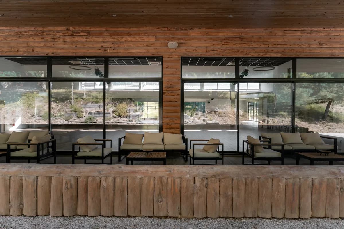 Terrasse de la Salle Sequoia