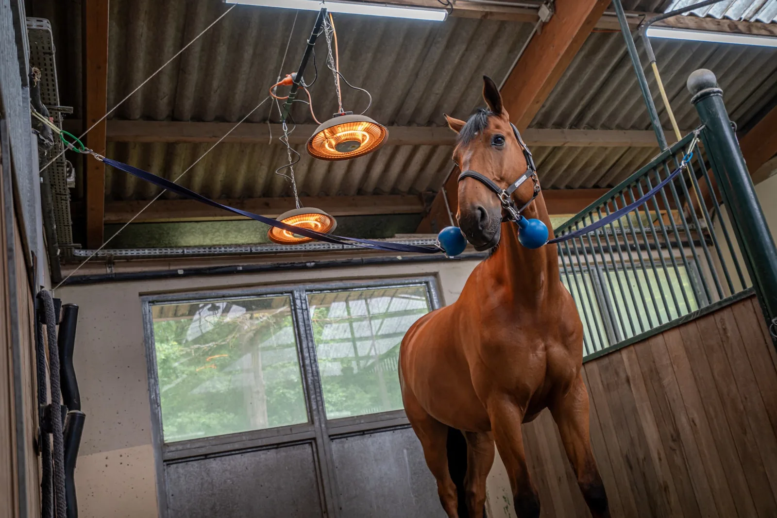 Club-house cavaliers — Haras Domaine de la Butte Ronde Yvelines