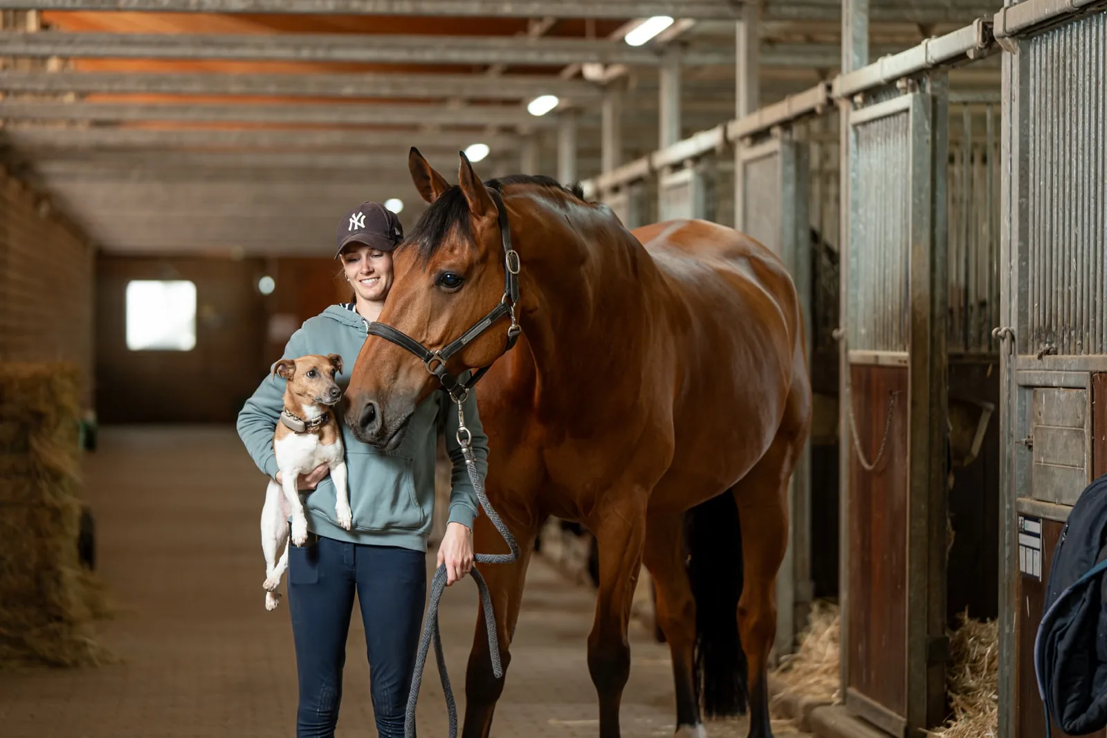 Manège olympique couvert — Haras Domaine de la Butte Ronde Yvelines
