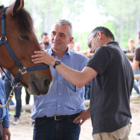 Equicoaching Caresse de cheval